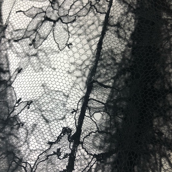 Alexander McQueen Chantilly Lace Ruffle Blouse - Picture 7 of 8